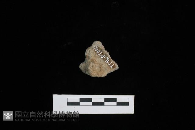 陶片藏品圖，第2張