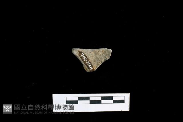 陶片藏品圖，第2張