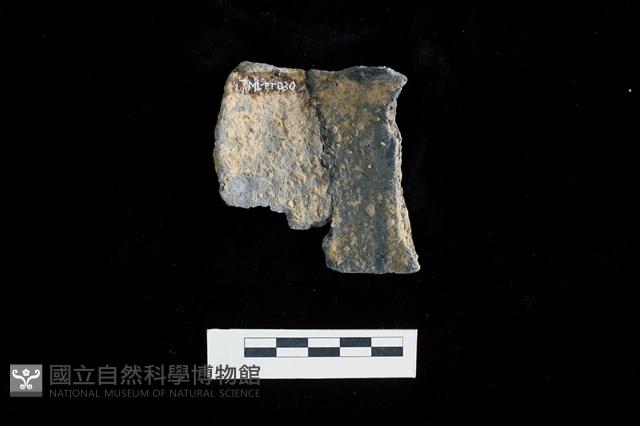 陶片藏品圖，第2張