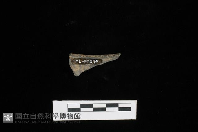 陶片藏品圖，第2張