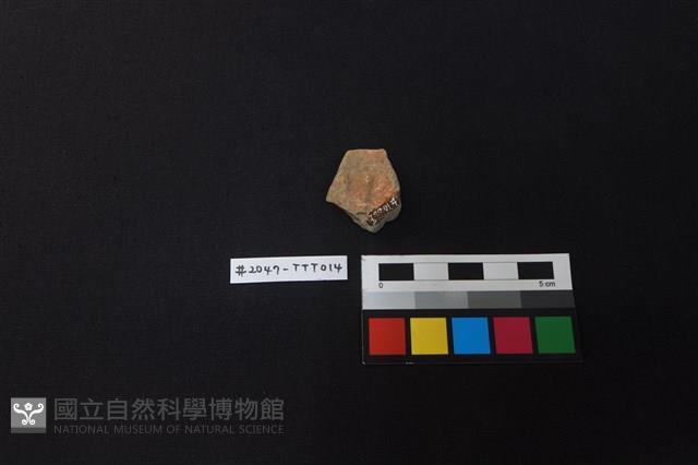 陶片藏品圖，第2張