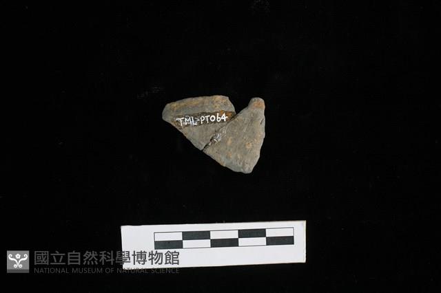 陶片藏品圖，第2張