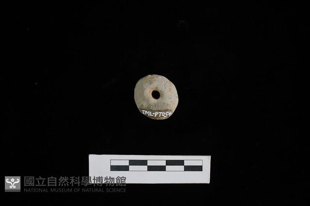 紡輪藏品圖，第2張