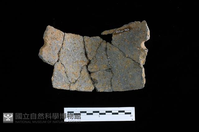 陶片藏品圖，第2張