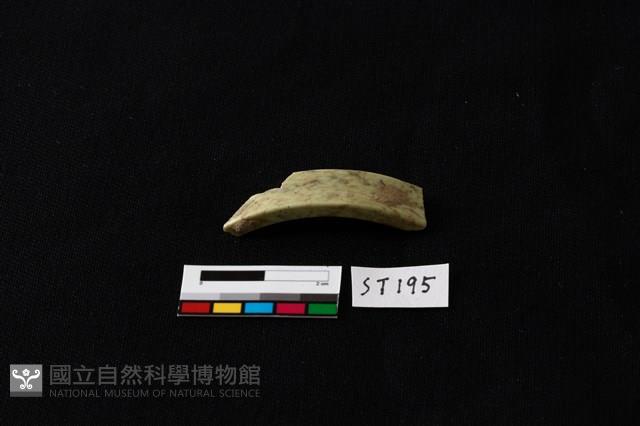 玉環藏品圖，第3張