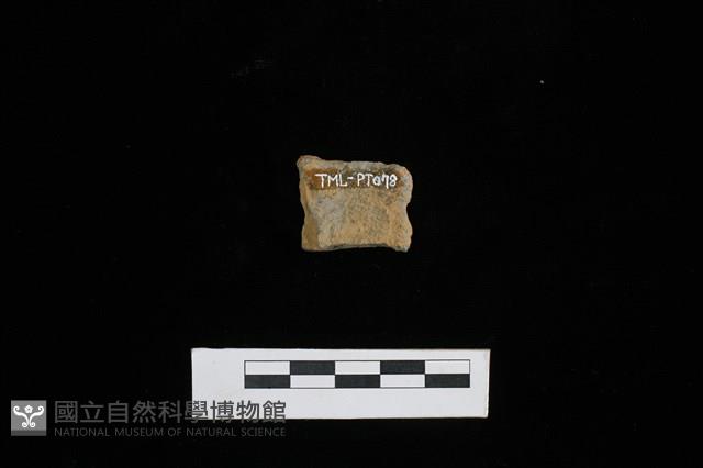 陶片藏品圖，第2張