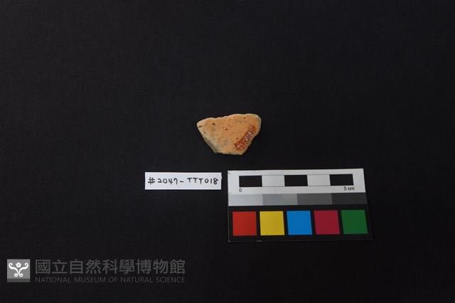 陶片藏品圖，第2張