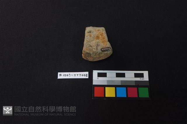 陶片藏品圖，第2張