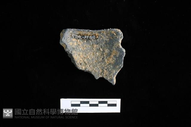 陶片藏品圖，第2張