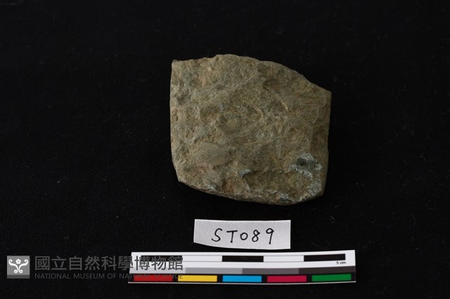 石錛藏品圖，第3張