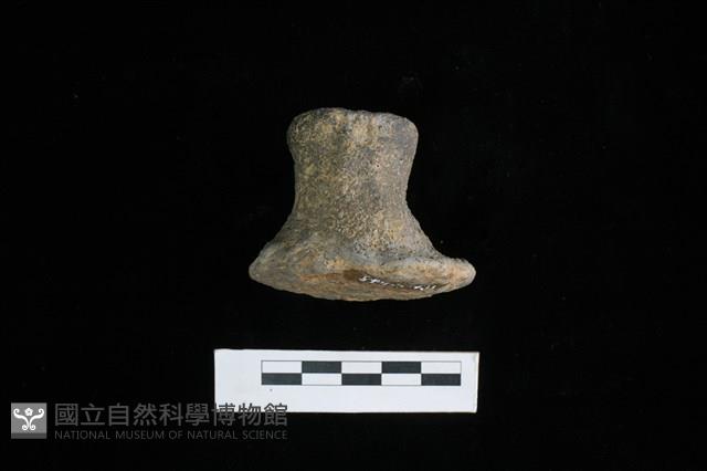 陶蓋鈕藏品圖，第2張