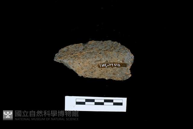 陶罐藏品圖，第2張