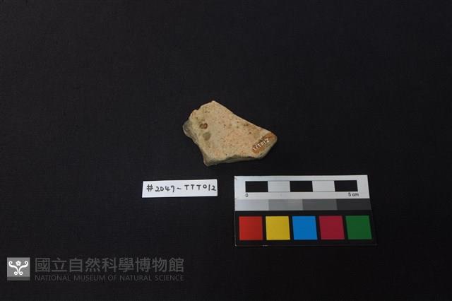 陶片藏品圖，第2張