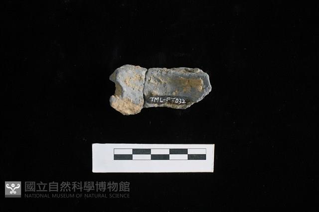 陶片藏品圖，第2張
