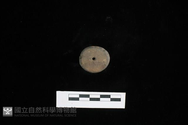 紡輪藏品圖，第2張