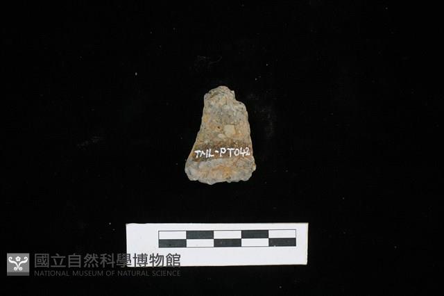 陶把藏品圖，第2張