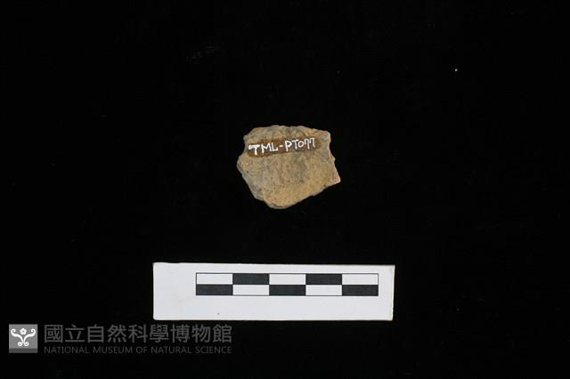 陶片藏品圖，第2張