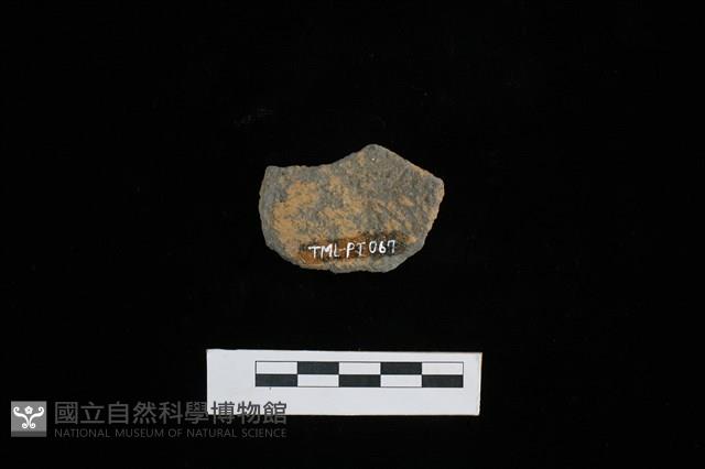 陶片藏品圖，第2張