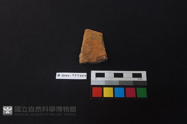 陶片藏品圖，第2張