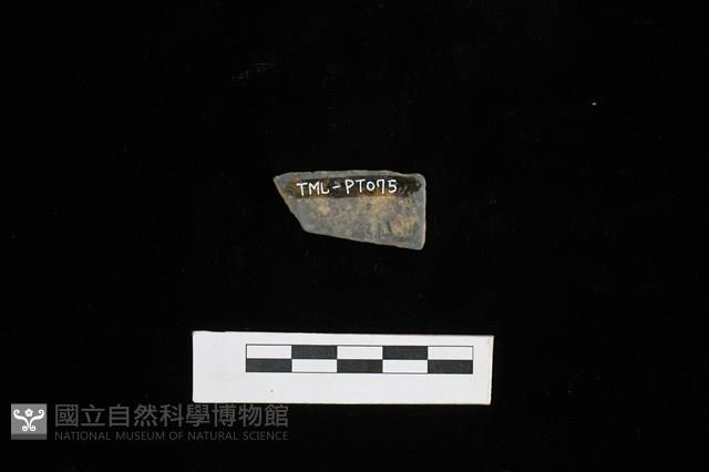 陶片藏品圖，第2張