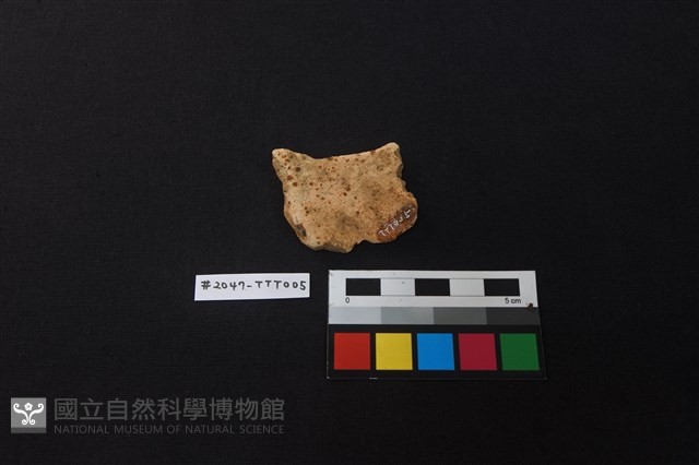陶片藏品圖，第2張
