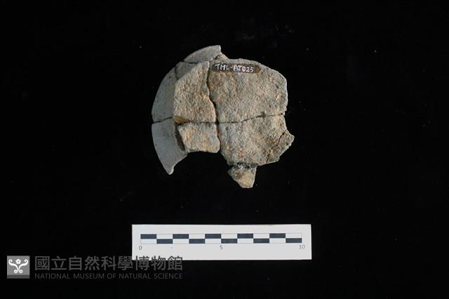 陶片藏品圖，第2張