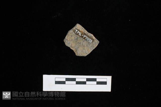 陶片藏品圖，第2張
