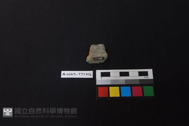 陶片藏品圖，第2張