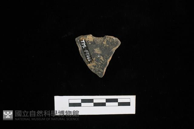 陶片藏品圖，第2張