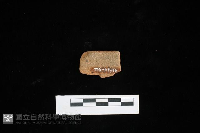陶片藏品圖，第2張