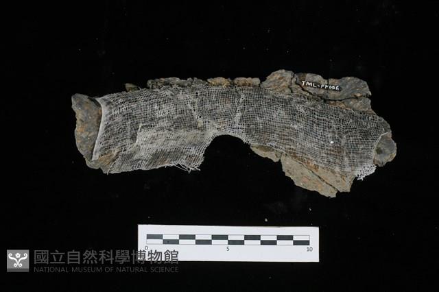 陶罐藏品圖，第2張
