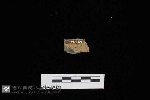 陶片藏品圖，第2張