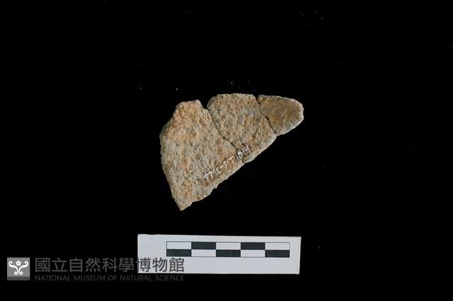 陶罐藏品圖，第2張