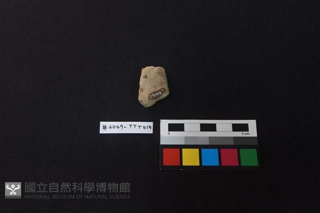 陶片藏品圖，第2張