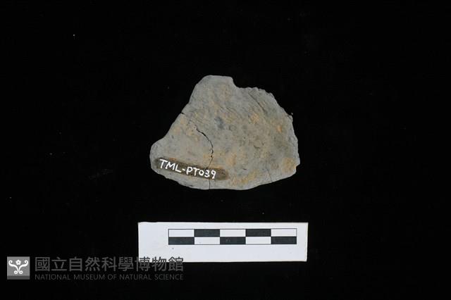 陶片藏品圖，第2張