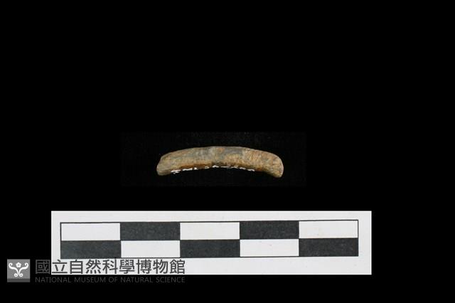 陶環藏品圖，第2張