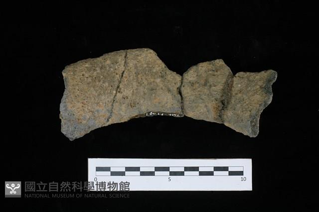 陶罐藏品圖，第2張