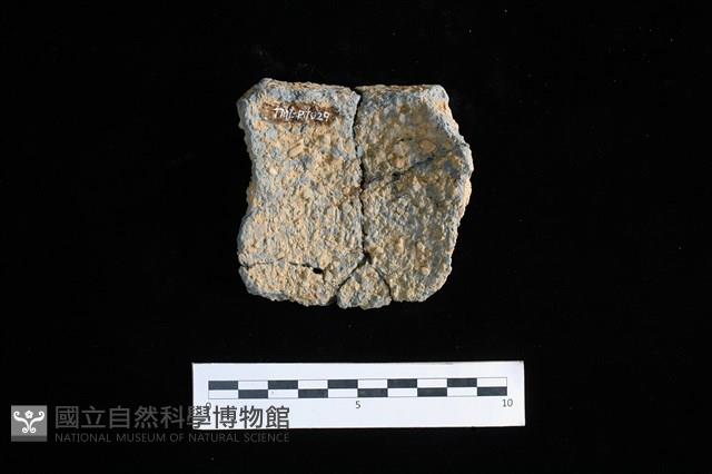 陶片藏品圖，第2張