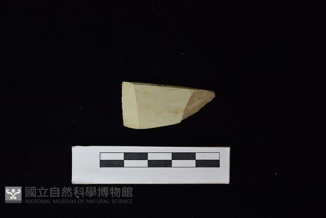 錛鑿形器藏品圖，第1張