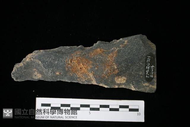 Accession Number:TMLII0701 Collection Image, Figure 1, Total 2 Figures