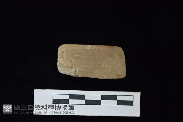 錛鑿形器藏品圖，第1張