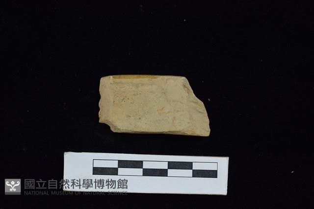 錛鑿形器藏品圖，第1張