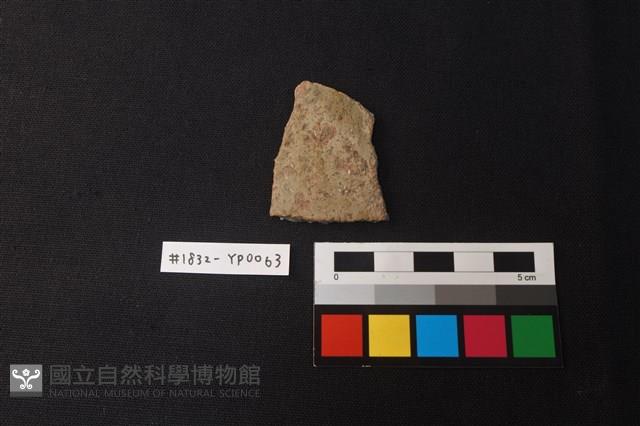 陶片藏品圖，第1張