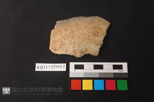 陶片藏品圖，第1張