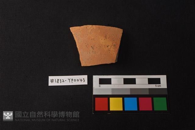 陶片藏品圖，第1張