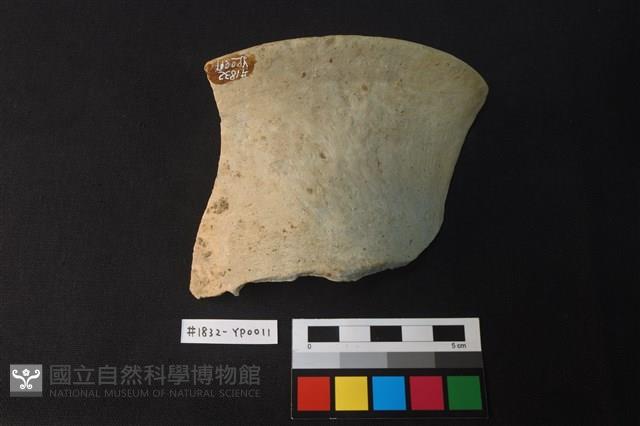 陶片藏品圖，第1張