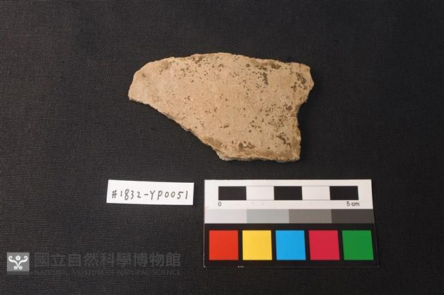 陶片藏品圖，第1張