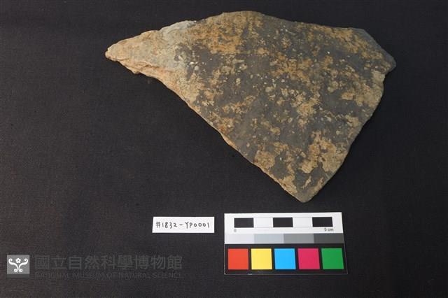 陶片藏品圖，第1張