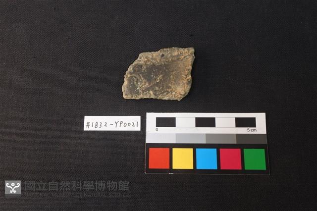 陶片藏品圖，第1張