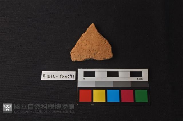 陶片藏品圖，第1張